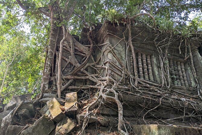Private Koh Ker & Beng Mealea Tour - Discovering Beng Mealea