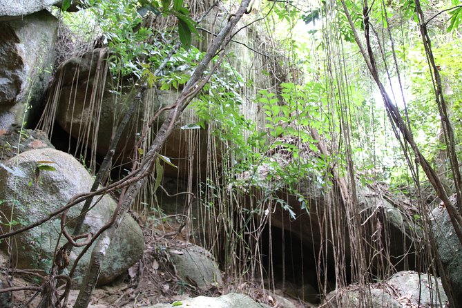 Private Koh Phangan Land Tour - Price and Group Size