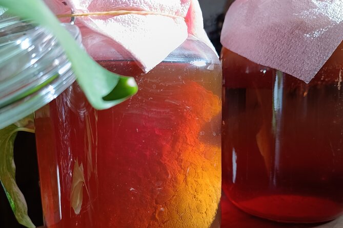 Private Kombucha Making Workshop in Cyprus - Kombucha Making Process
