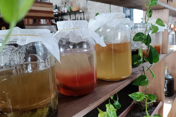 Private Kombucha Making Workshop in Cyprus - Benefits of Kombucha