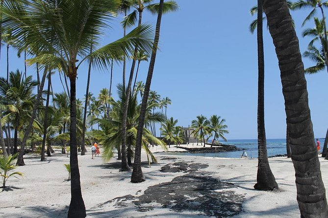 Private Kona From Coffee to Culture Mercedes Tour - Captain Cooks Voyages