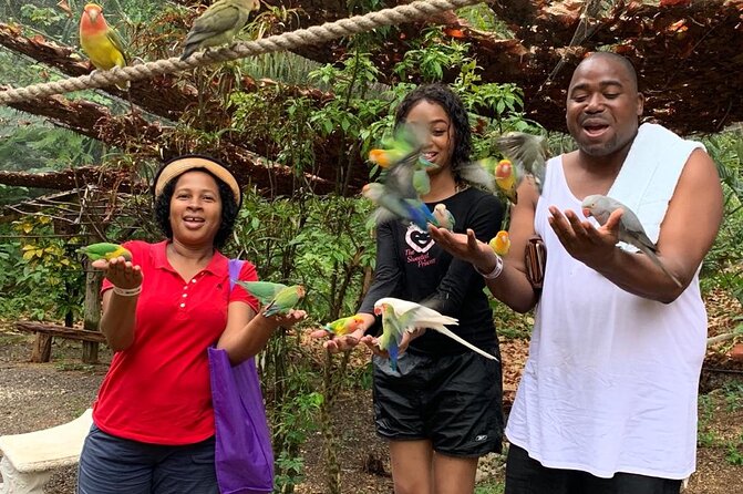 Private Konoko Falls and Blue Hole Combo Tour From Ocho Rios - Visiting the Blue Hole