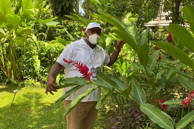 Private Konoko Falls and Dunns River Combo Tour From Ocho Rios - Booking Information