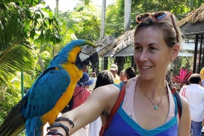 Private Konoko Falls and Sightseeing Tour From Ocho Rios - About Your Stay