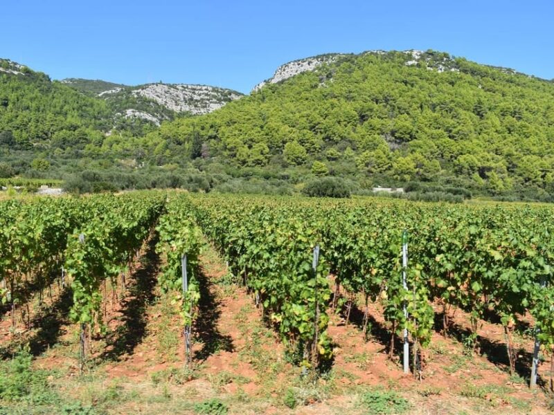 Private Korčula Island: Wine & Sightseeing Tour - Highlights and Scenic Views