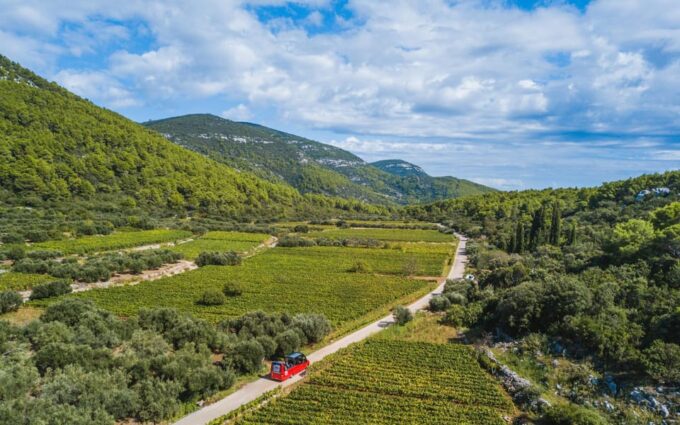 Private Korčula Island: Wine & Sightseeing Tour - Wine Tasting Offerings
