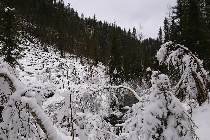 Private Korouoma Canyon Tour - About Viator and Additional Resources