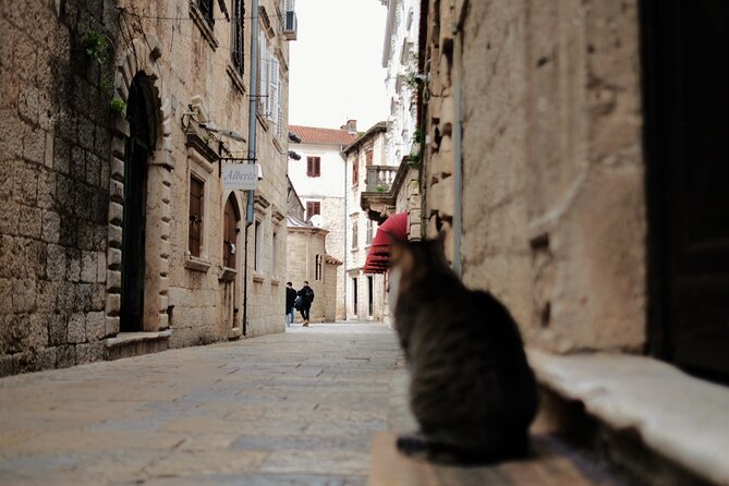 Private Kotor and Perast Tour - Baroque Charm of Montenegro - Meeting and Pickup