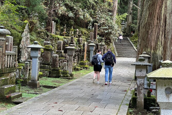 Private Koyasan Day Tour From Osaka – Kii Peninsula UNESCO Site - Admiring Danjo Garan
