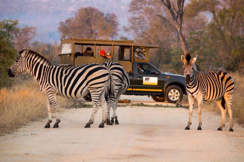 Private Kruger Full Day Safari From Hazyview - Inclusions and Exclusions