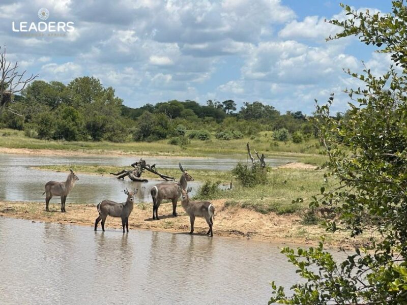 Private Kruger National Park Full Day Safari - Diverse Landscapes and Habitats