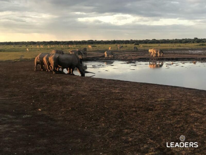 Private Kruger National Park Full Day Safari - Bird Watching Opportunities