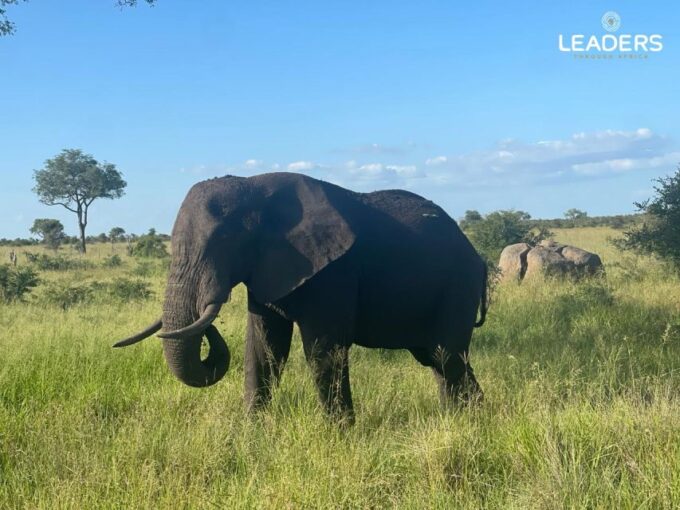 Private Kruger National Park Full Day Safari - Frequently Asked Questions