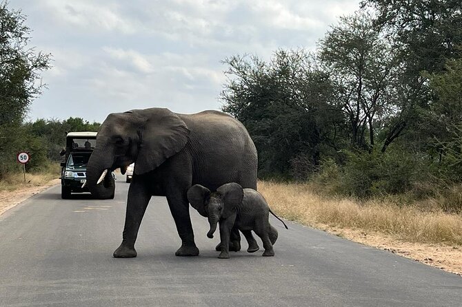 Private Kruger Park Safari and Panorama Route - Exploring the Panorama Route