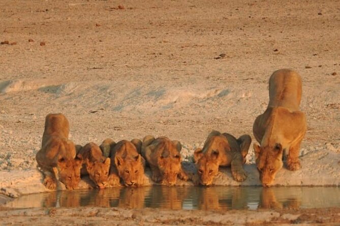 Private Kruger Park Safari and Panorama Route - Accommodation and Meals