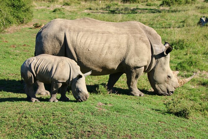 Private Kruger Park Safari and Panorama Route - Booking Information
