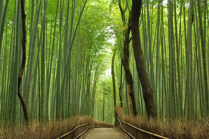 Private Kyoto Arashiyama Custom Half-Day Tour by Chartered Vehicle - Exploring Tenryu Temple