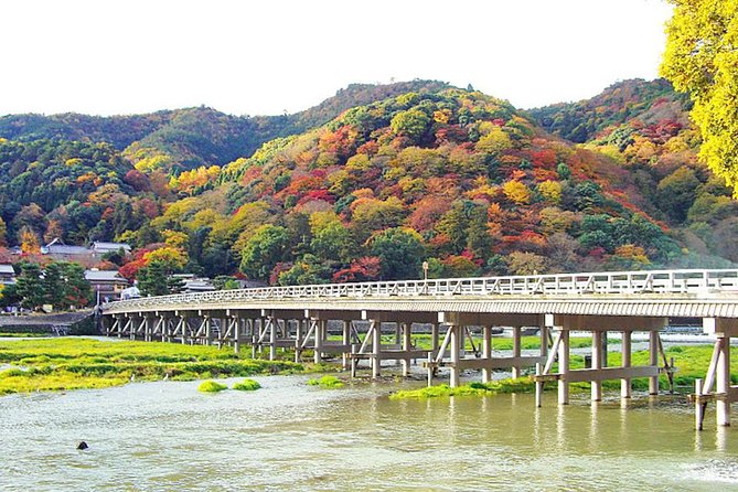 Private Kyoto Arashiyama Custom Half-Day Tour by Chartered Vehicle - Wandering Sagano Bamboo Groves