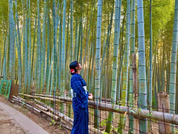 Private Kyoto Morning Tour: Top Landmarks in Half a Day - Yasaka Kōshin-dō Temple