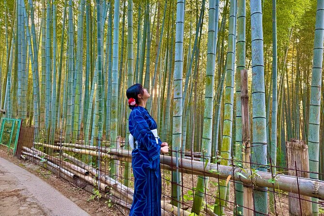 Private Kyoto Morning Tour: Top Landmarks in Half a Day - Highlights of the Private Kyoto Morning Tour