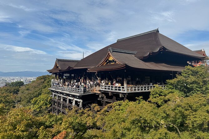 Private Kyoto Morning Tour: Top Landmarks in Half a Day - Tour Requirements and Accessibility