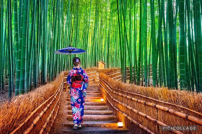 Private Kyoto-Nara Tour From Osaka With Hotel Pickup and Drop off - Additional Information