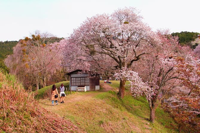 Private Kyoto Night Tour: Historic Walk at Gion and Fushimi - Flexibility and Convenience