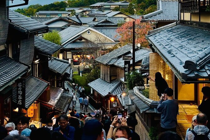 Private Kyoto Osaka Day Tour With English Speaking Driver - Accessibility