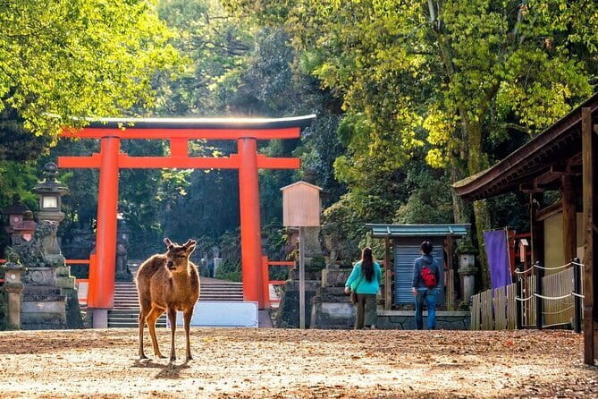 Private Kyoto Osaka Day Tour With English Speaking Driver - Itinerary