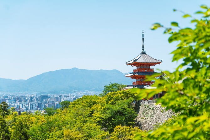 Private Kyoto Osaka Day Tour With English Speaking Driver - Customer Feedback