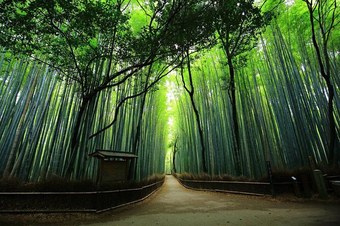Private Kyoto Tour With Hotel Pickup and Drop off From Osaka - Inclusions in the Tour Package