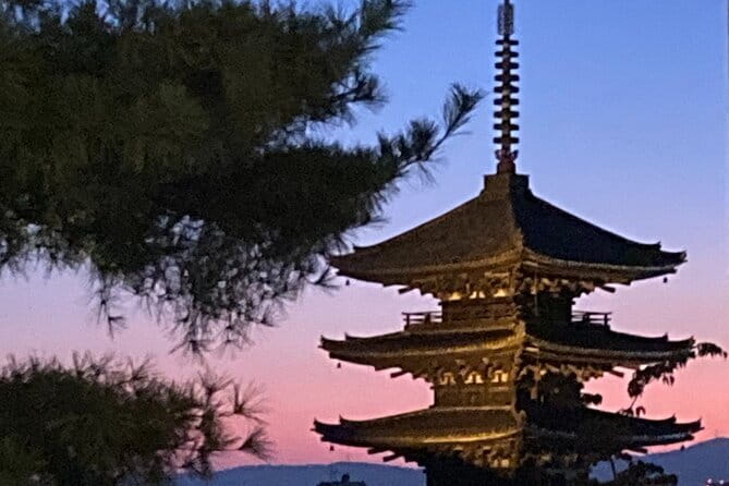 Private Kyoto With Exceptional Guide Tailored to Your Needs - Exceptional Guide Expertise