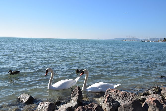Private Lake Balaton Experience With an Unforgettable Wine Tasting - Pricing and Customer Testimonials