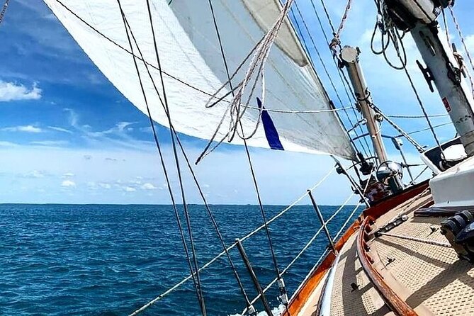 Private Lake Michigan Sailing Charter and Sightseeing Chicago Skyline Cruise - Overview and Experience