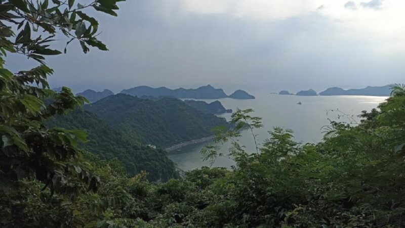 Private Lan Ha Bay Day Cruise From Hanoi With a Local Guide - Itinerary Highlights