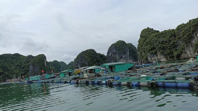 Private Lan Ha Bay Day Cruise From Hanoi With a Local Guide - Frequently Asked Questions