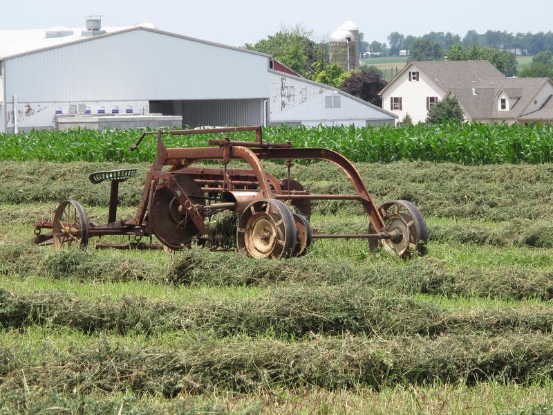 Private Lancaster County Amish Tour From Philadelphia - Accessibility and Group Details