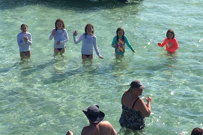 Private Large Group Snorkel/Shelling/Eco Excursion - Participant Guidelines and Requirements