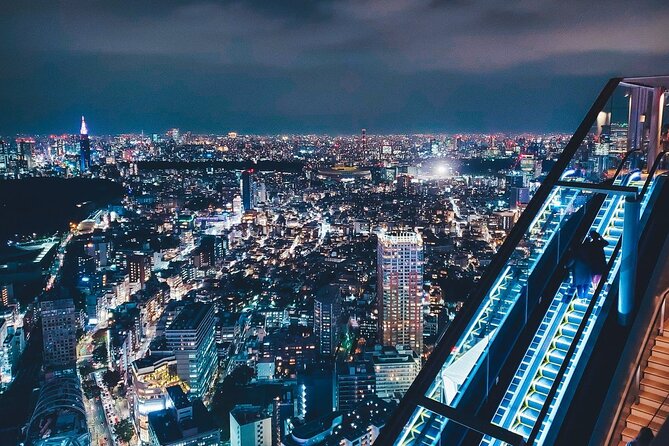 Private Layover Experience in Luxury SUV (5-6 Hours) - Driver/Guide Fluency and Languages