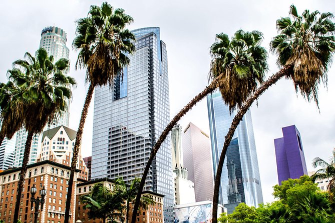 Private Layover Los Angeles Tour With Pickup From LAX - Santa Monica, Venice - Customizable Itinerary and Flexibility