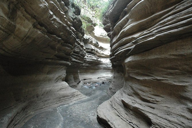 Private Layover Tour to Hells Gate National Park With Optional Boat Ride - Optional Boat Cruise on Naivasha