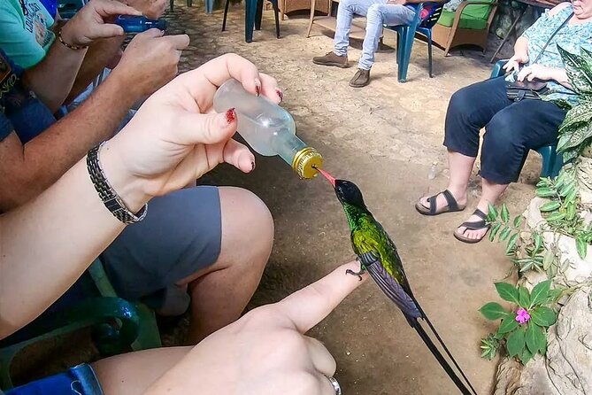 Private Lethe River Rafting and Bird Sanctuary Tour in Negril - Pickup and Transportation