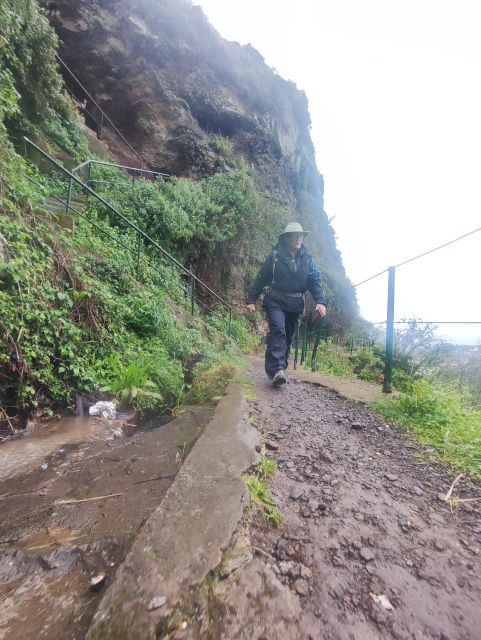 Private - Levada Do Moinho Guided Hike - Hiking Highlights