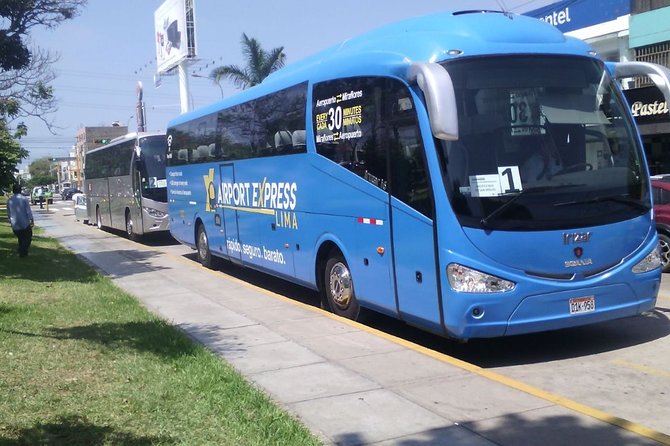 Private Lima City Tour From Callao Cruise Terminal - Accessibility and Requirements