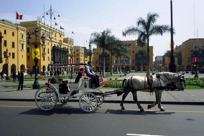 Private Lima City Tour With Larco Museum - Accessibility and Recommendations