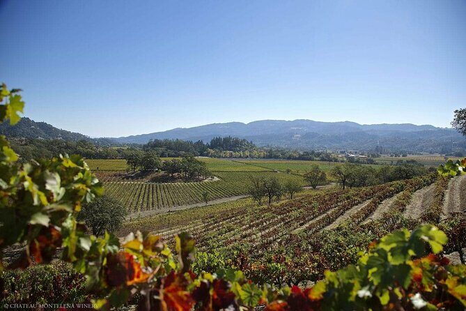 Private Limo Wine Tours in Sonoma and Napa Valley - Price and Value