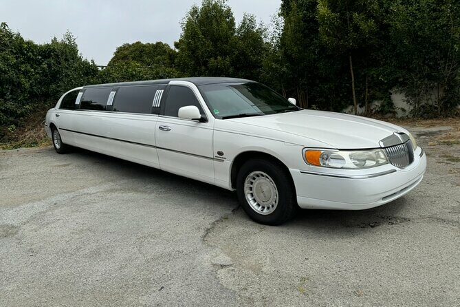 Private Limo Wine Tours in Sonoma and Napa Valley - Who is This Tour Best For?