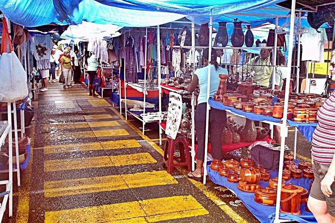 Private Limon Shore Excursion: Tortuguero Canals Tour - Itinerary Details