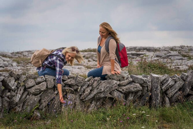 Private Limousine Hire Cliffs of Moher Day Tour - Sights Along the Route
