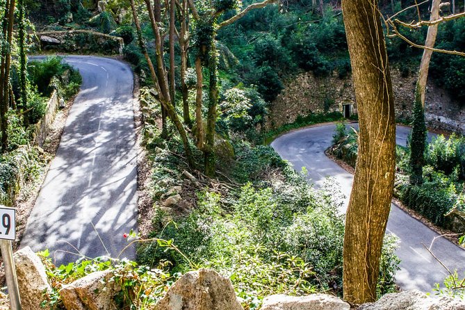 Private Lisbon Family Tour - Magic,Simple and Fun - Memorable Family-Centric Experiences